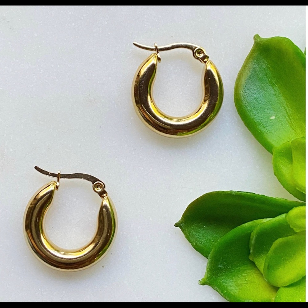 Elegant Gold Hoop Earrings